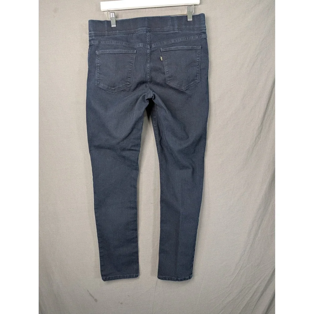 Levis levis 311
